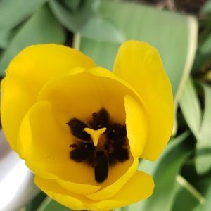 Meet your Posher, Julie